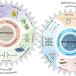 Why meta-computing research matters